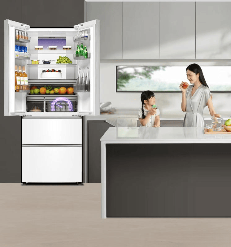 箱评测：7款实惠又耐用的推荐！尊龙凯时app卡萨帝法式四门冰(图7)